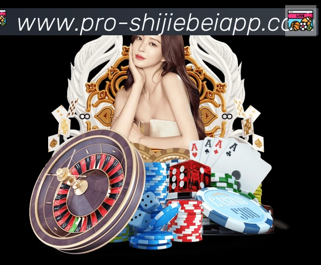 未来规划